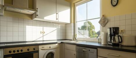 Classic Apartment, 3 Bedrooms | Private kitchen