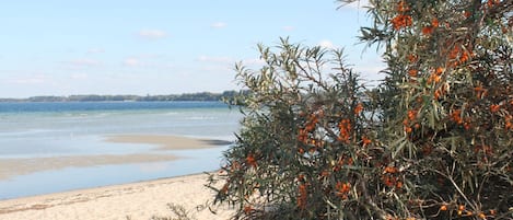 Comfort House, 3 Bedrooms | View from property