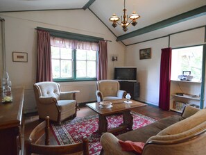 Chimenea, reproductor de DVD