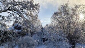Un jardin enneigé, avec des arbres et des arbustes, un sentier et un bâtiment en arrière-plan.