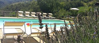Spacious Farmhouse in Apecchio With Pool