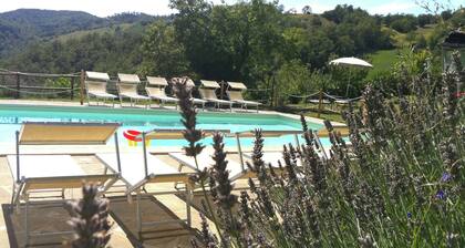 Spacious Farmhouse in Apecchio With Pool