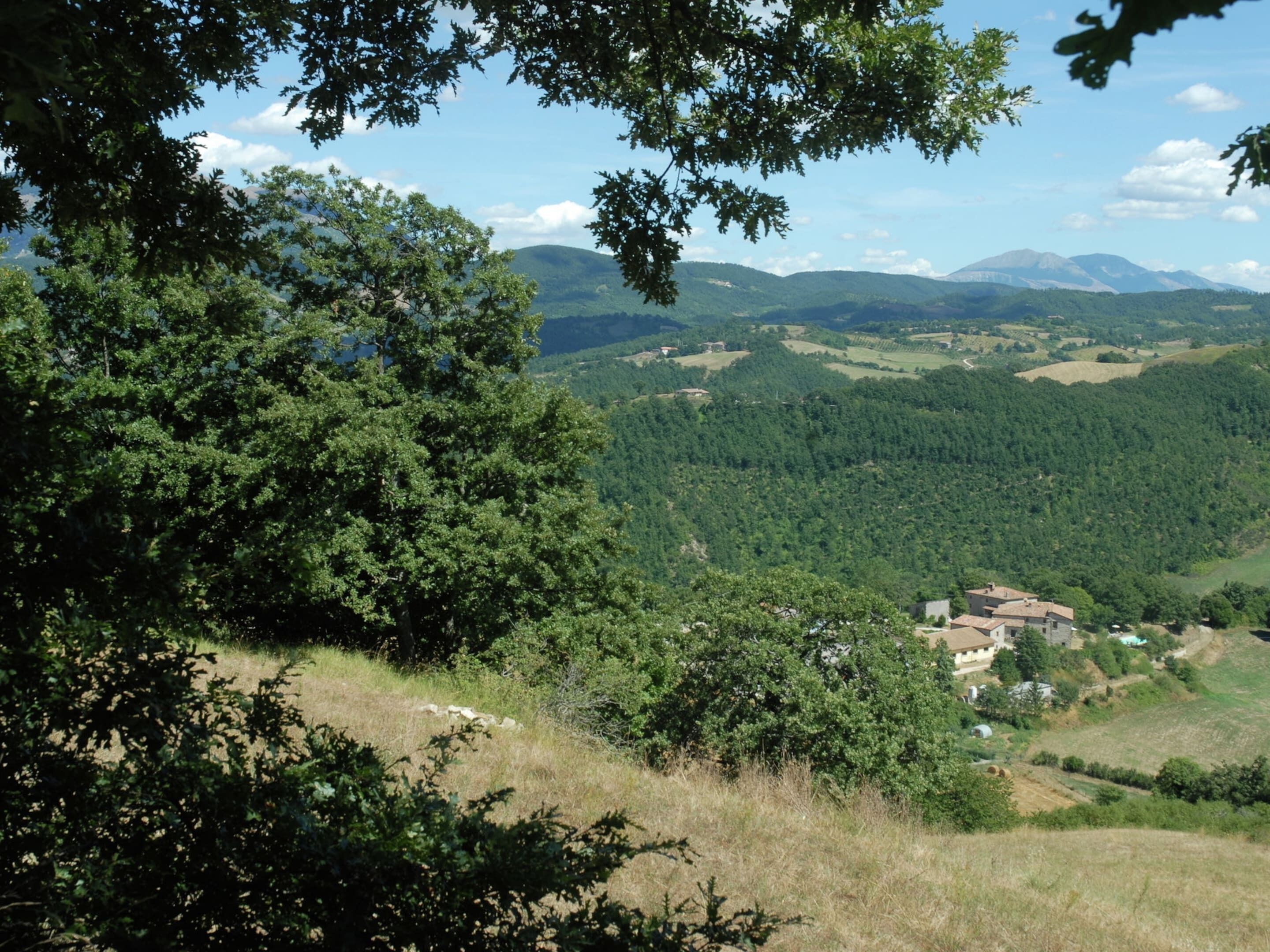 A rural landscape with a house surrounded by trees and rolling hills.
