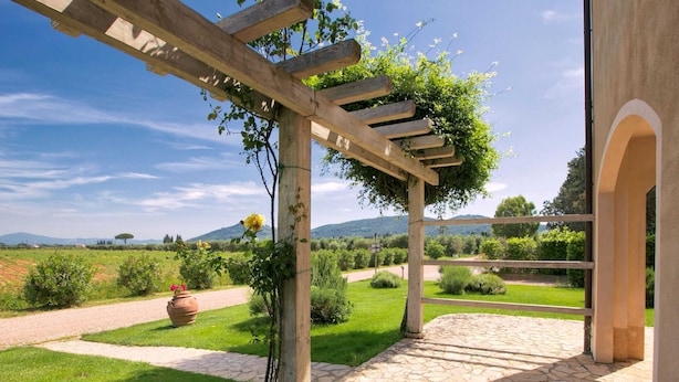 A garden patio with a stone floor, a white table with fruit, and a pergola with climbing plants.