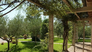 A garden with a pergola structure, green grass, and trees.