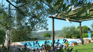 A pool area with lounge chairs and a pergola, surrounded by greenery and lavender plants. - Farmhouse With Stables, Horses and the Ability to Make Horseback Riding (Monte Santa Maria Tiberina)
