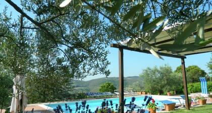 Farmhouse With Stables, Horses and the Ability to Make Horseback Riding