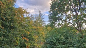 A view from a balcony overlooking a garden with dense foliage and a small water feature.