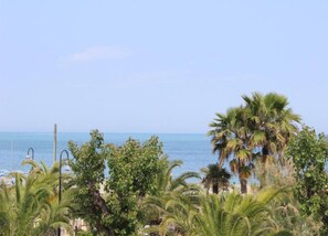 Ein Strand mit Palmen und freiem Blick auf den Ozean.