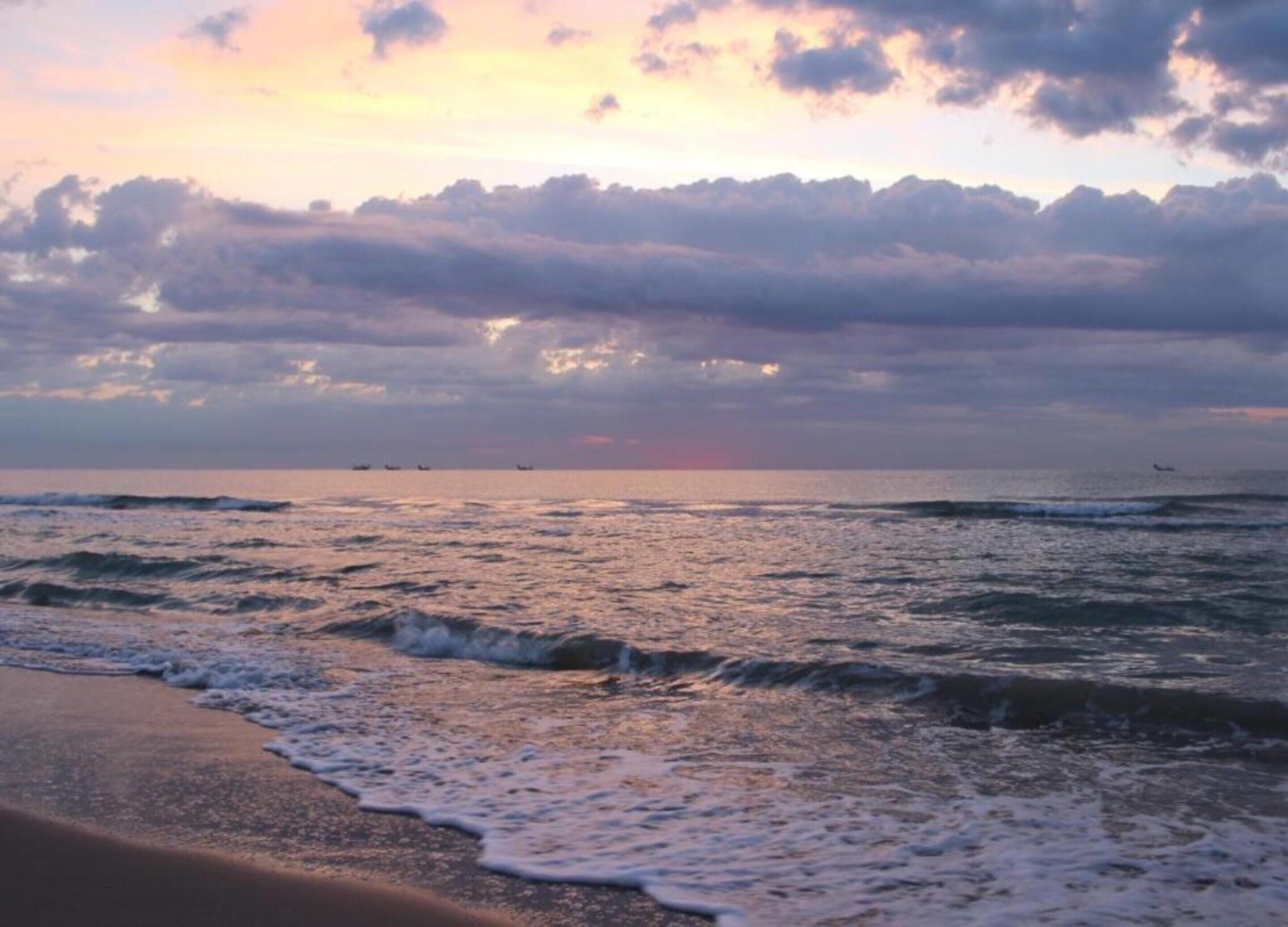 Deluxe Apartment, 3 Bedrooms | View from property