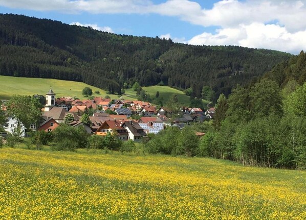 Classic House, 3 Bedrooms | View from property - Cosy Farmhouse Apartment at the Edge of the Forest (Muehlenbach)