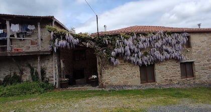 Traditional Apartment in Ribeira Sacra With Garden