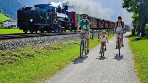 A train on tracks with a mountainous landscape in the background. - Apartment in Fugen With Parking Space (Fuegen)