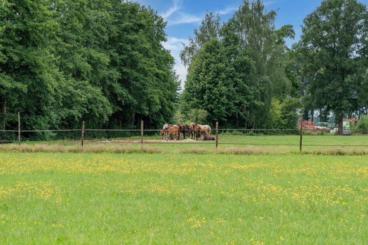 Un champ parsemé de fleurs jaunes et un groupe de chevaux près d’une clôture.