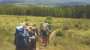 En grupp vandrare på en stig som omges av skog och berg.