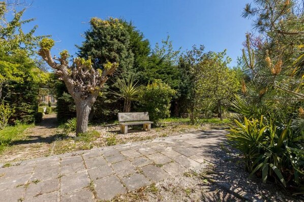 A paved pathway leading to a bench surrounded by various trees and shrubs. - Cozy Chalet in Vrouwenpolder With Garden (Vrouwenpolder)