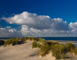 A beach with sand dunes and grassy vegetation. - Cozy Chalet in Vrouwenpolder With Garden (Vrouwenpolder)