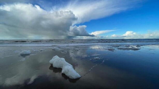 A beach with a large cloud formation and a clear sky. - Modern Apartment in Noordwijk Near the Sea (Noordwijk)