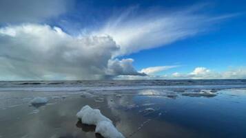 Classic Apartment, 1 Bedroom | View from property