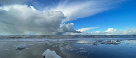 Classic Apartment, 1 Bedroom | View from property