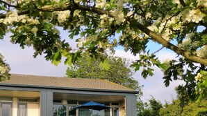 A two-story building with a balcony on the upper floor, a blue umbrella, and a tree with white flowers in the foreground. - Modern Apartment in Noordwijk Near the Sea (Noordwijk)