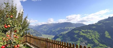 Appartement Confort, 3 chambres | Vue depuis l’hébergement