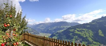 Apartment in Hippach im Zillertal in the Mountains