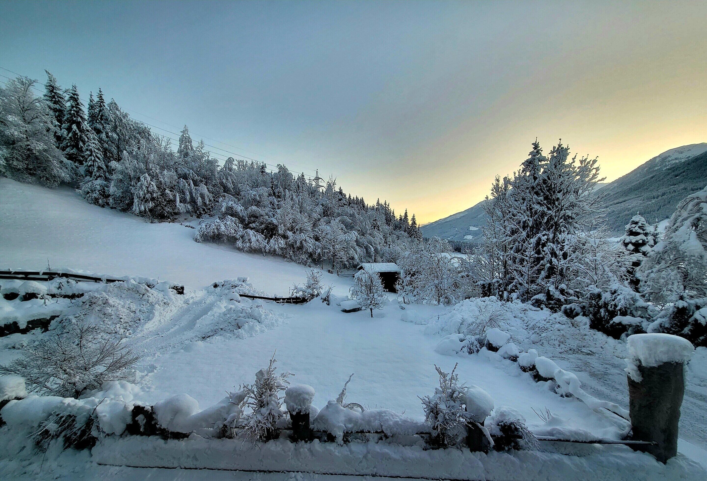 A snowy landscape with trees and a clear sky.