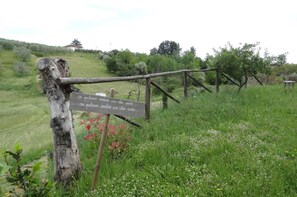 Comfort House, 2 Bedrooms | Garden - Holiday Home Cerbaiola, Lamporecchio (Lamporecchio)