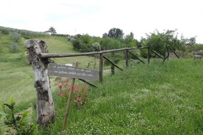 Exterior - Holiday Home Cerbaiola, Lamporecchio (Lamporecchio)