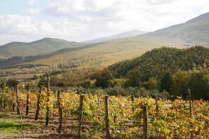 Vue depuis lâhĂ©bergement