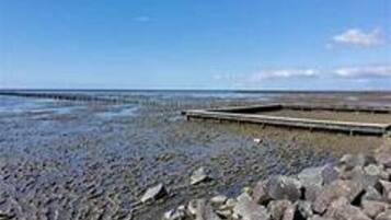 Comfort Apartment, 2 Bedrooms | View from property