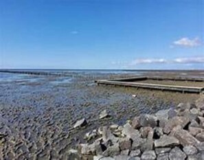 Comfort Apartment, 2 Bedrooms | View from property - Apartment in Friedrichskoog-spitze With Parking Space (Friedrichskoog)