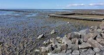 Apartment in Friedrichskoog-spitze With Parking Space