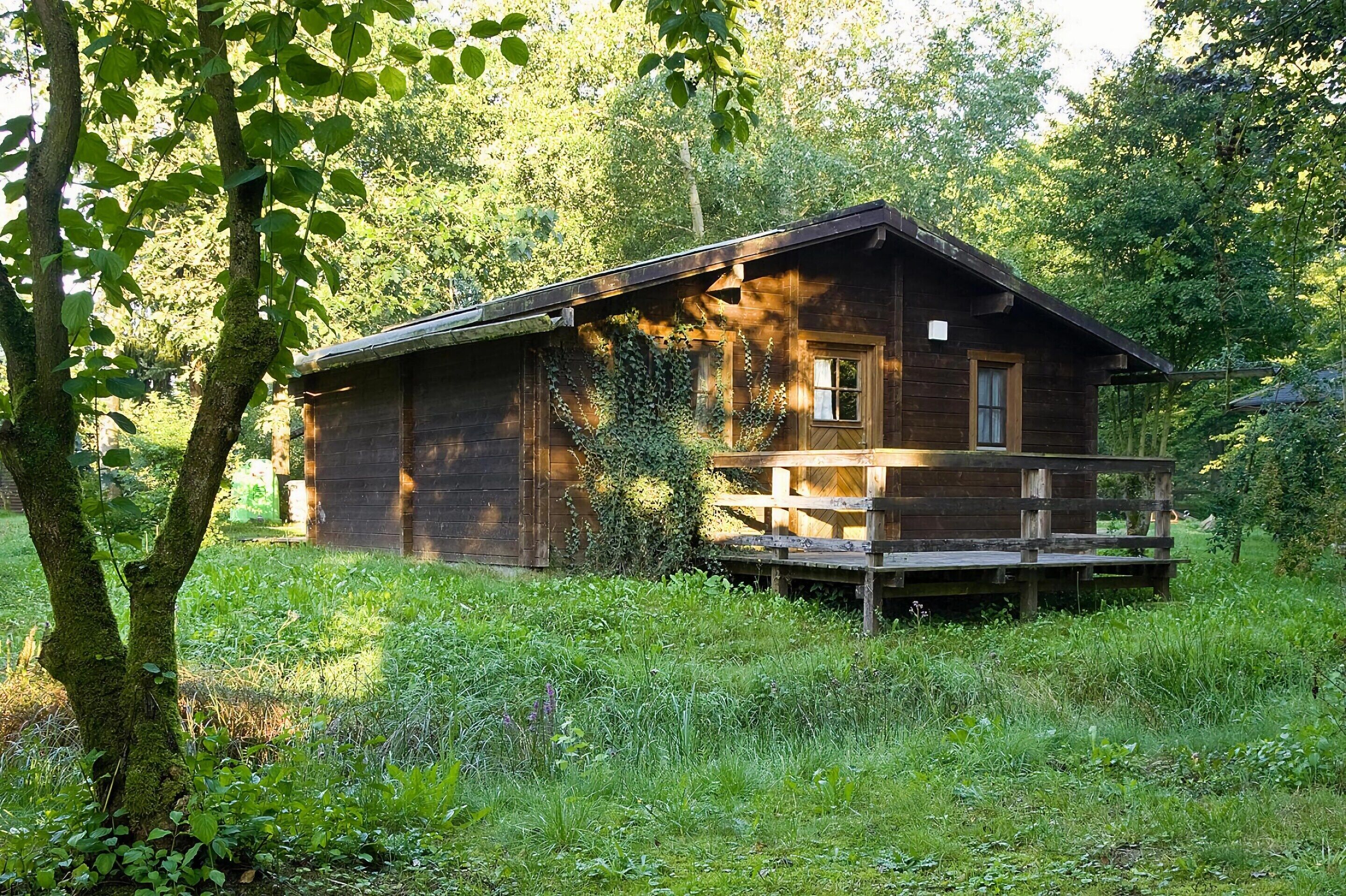 A rustic wooden cabin with a porch, surrounded by lush greenery.