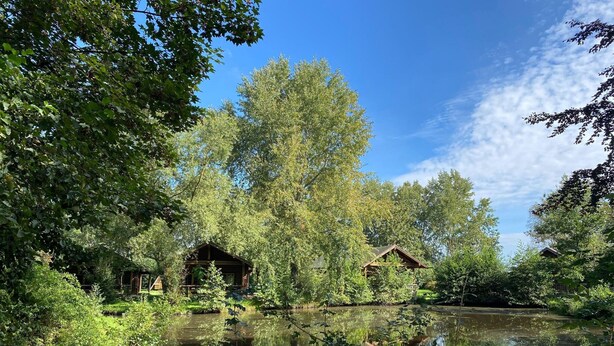 A serene lakeside cabin surrounded by lush greenery and trees, with a clear reflection in the calm water. - Ferienhaus in Hechthausen mit Terrasse (Hechthausen)
