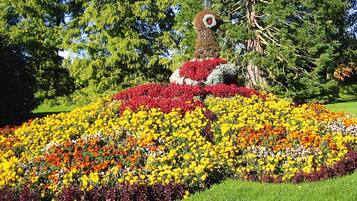 Comfort House, 2 Bedrooms | Garden