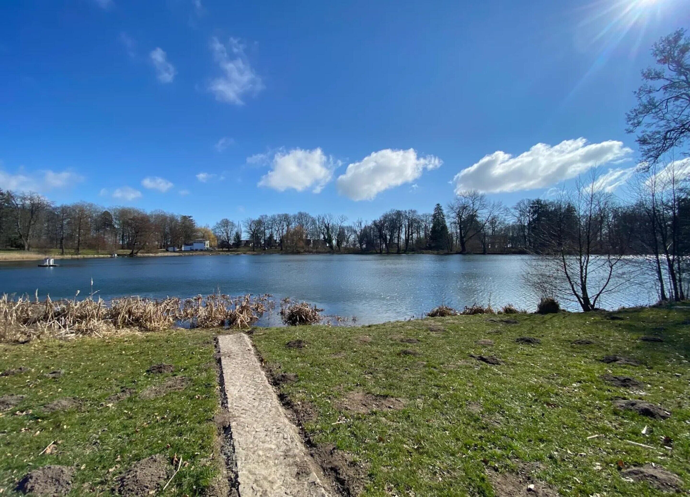 A clear view of a lake with a concrete path leading to the water's edge, surrounded by grassy areas and trees.