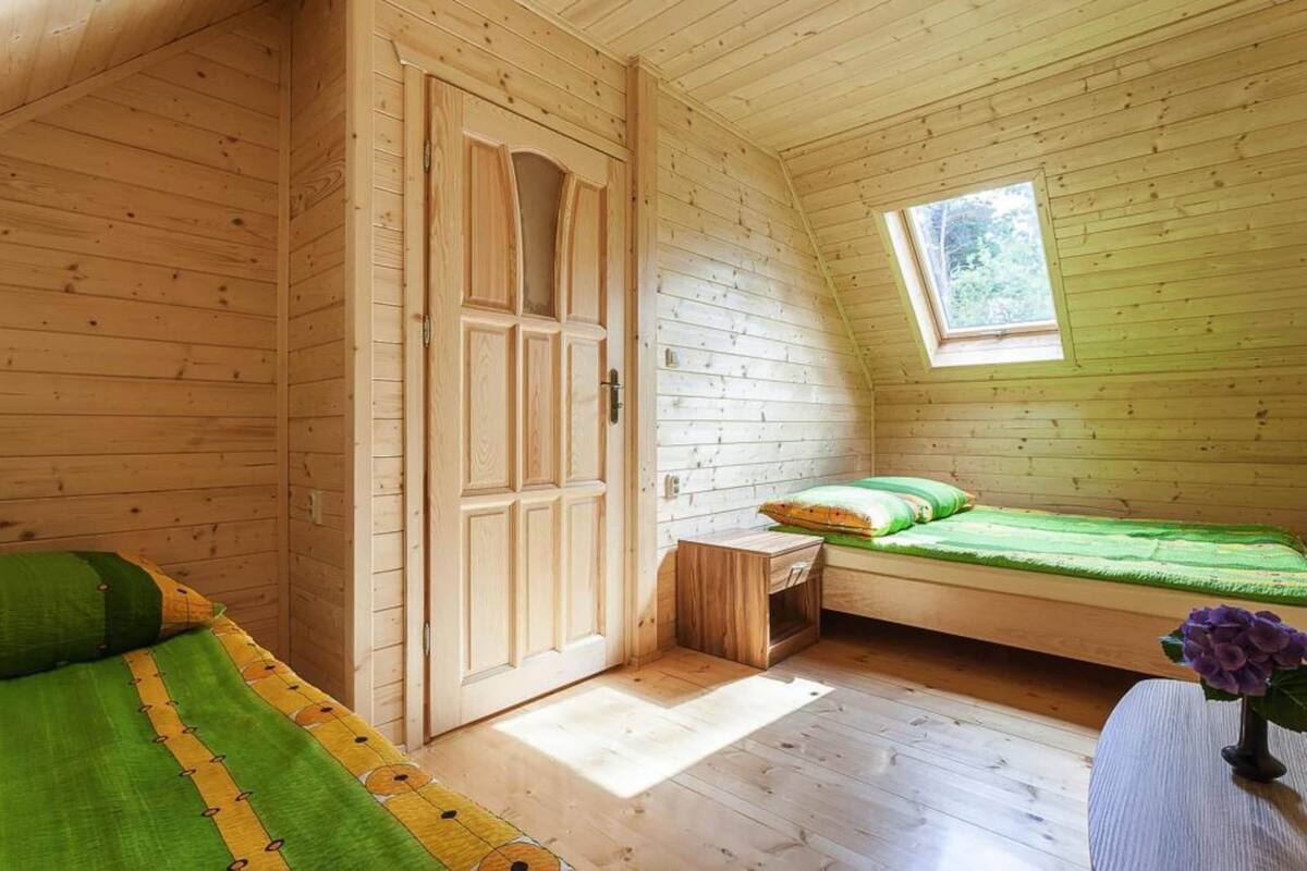A wooden cabin room with a single bed, a window, and a door.