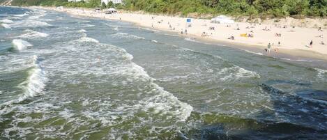 Comfort Bungalow, 2 Bedrooms | Interior detail