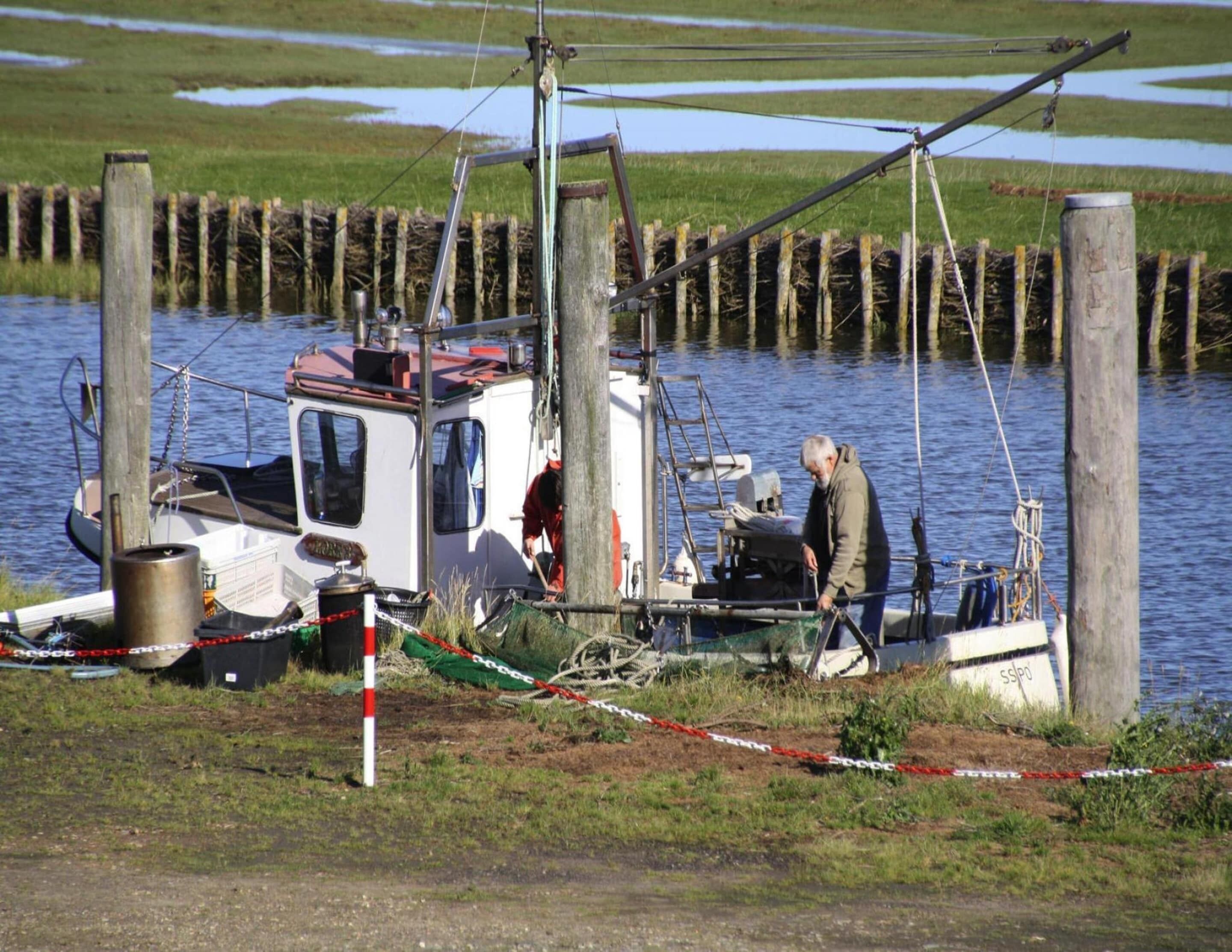 Un petit bateau était amarré à un quai, et une personne se tenait à bord.