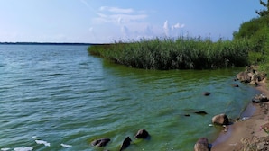 A calm river with rocks and vegetation along the bank. - Holiday Home in Osieki Near a Lake (gmina Sianów)