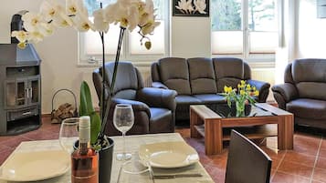 Chimenea, reproductor de DVD