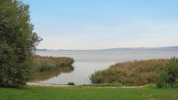 Vista desde la propiedad