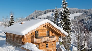 Comfort Chalet, 3 Bedrooms | Bahagian luar