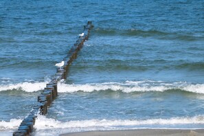 Uitzicht vanuit accommodatie