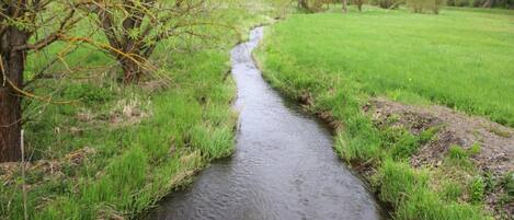Un petit ruisseau serpente à travers un champ verdoyant, bordé d’arbres de chaque côté.