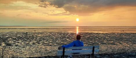 Comfort appartement, 2 slaapkamers | Uitzicht vanuit accommodatie