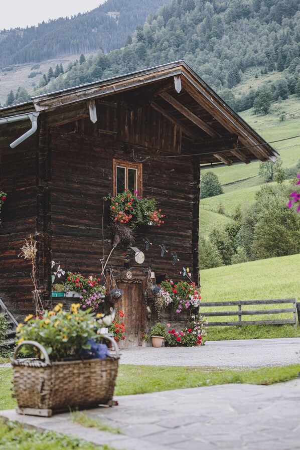 Classic House, 6 Bedrooms | Interior detail - Holiday Home, Fusch an der Glocknerstrasse (Fusch an der Grossglocknerstrasse)