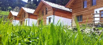 Holiday Home in Gaal im Murtal in a Beautiful Setting